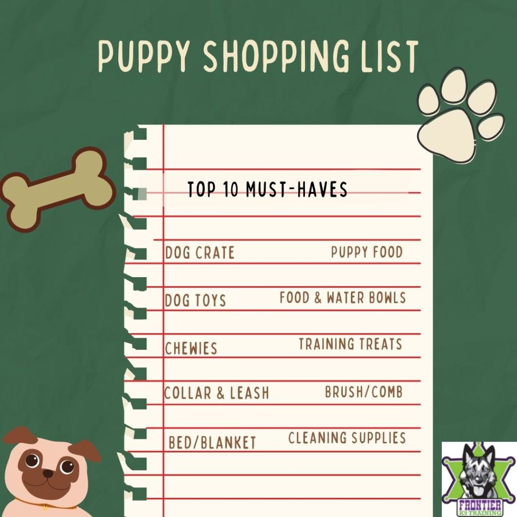 15 Must-Have Items for New Dog Owners, Dog Supplies List